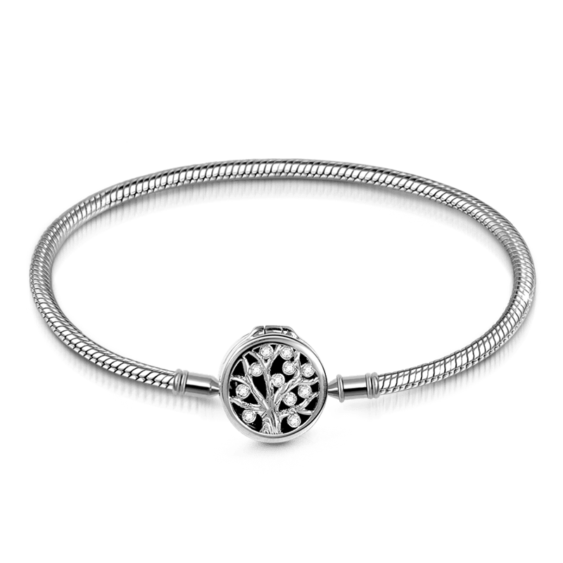 Gnoce "My Family, My Life" Essential Oil Diffuser Bracelet Aromatherapy S925 Sterling Silver Jewelry Fit for charms_1