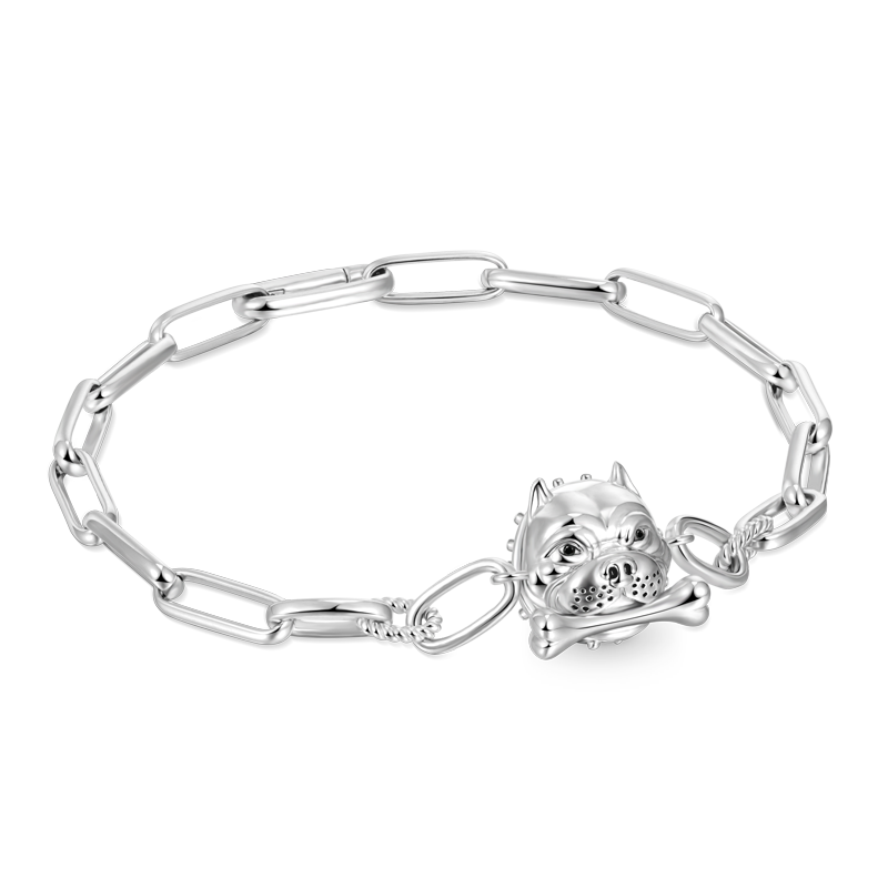 Gnoce Bully Element Link Chain Bracelet_1