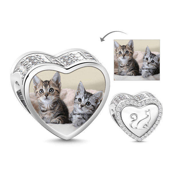 Gnoce "Cat in My Life "Kitty In My Heart Clear CZ 925 Sterling SilverPhoto Charm_1