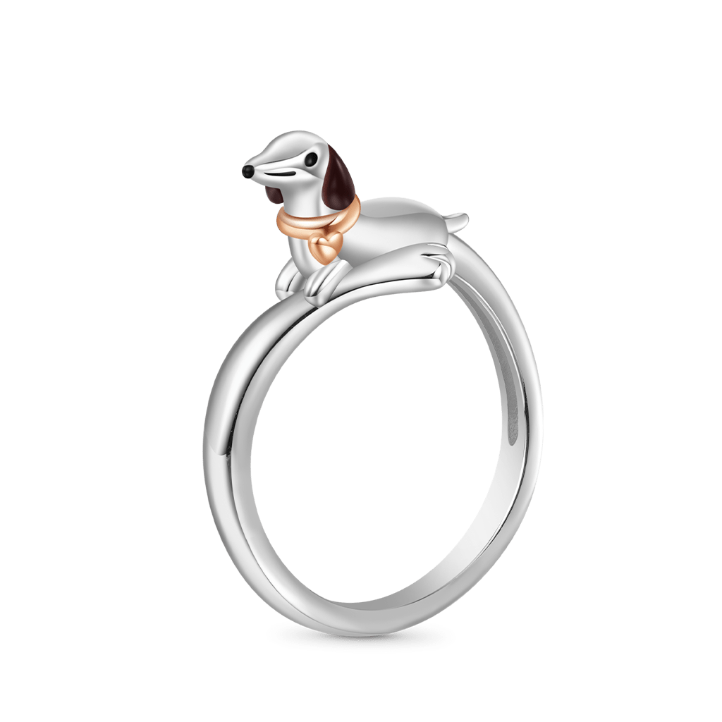 Gnoce Dachshund Dog Ring_1