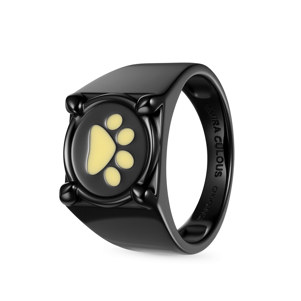 Gnoce Zag Heroez Miraculous - Cat Noir Glow-in-the-Dark Ring_3
