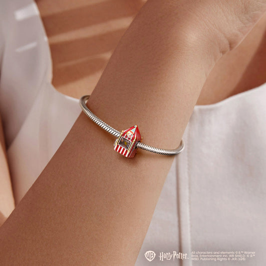 Gnoce Harry Potter Bertie Bott's Every Flavor Beans Charm_3