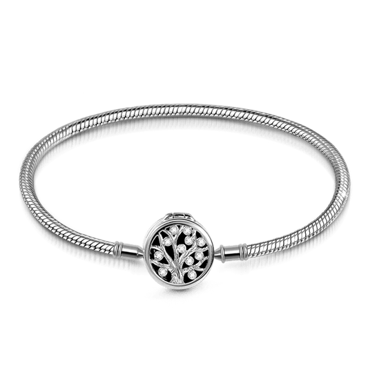 Gnoce "My Family, My Life" Essential Oil Diffuser Bracelet Aromatherapy S925 Sterling Silver Jewelry Fit for charms_1