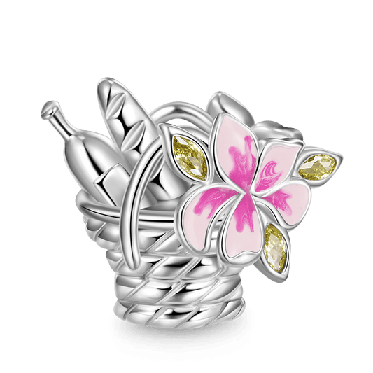 Gnoce Food Basket Happy Package Charm_1