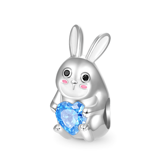 Gnoce Chinese Zodiac Rabbit Embraces Heart Gem Charm_1