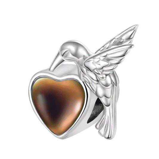 Gnoce Hummingbird Mood Cham_1