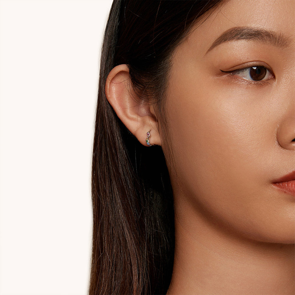 Gnoce Rainbow Heart Earrings_4