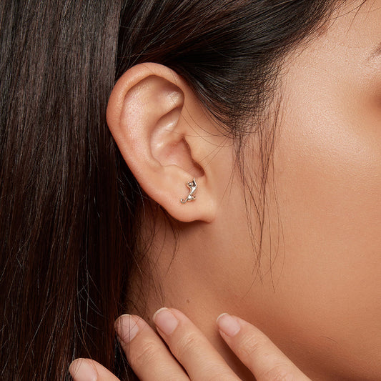 Gnoce Cat Earrings_5