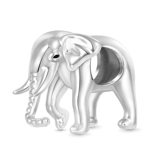 Gnoce South Africa Animal Elephant Charm_1