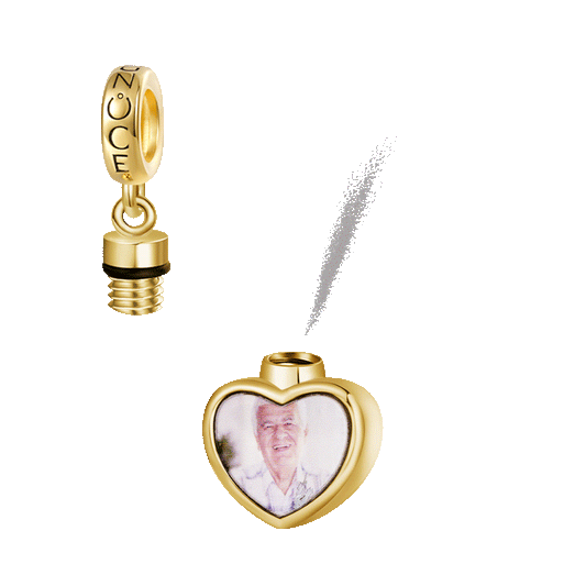 Gnoce 18K Gold Plated 'My guardian angel' Heart Memorial Urn Ashes Photo Pendant Dangle Charm_1