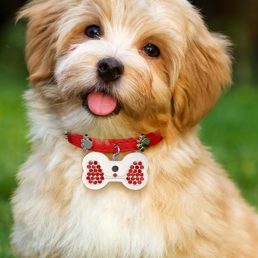 Gnoce Engravable Dog Bone Pet Tag & Flame Red Collar Anti-Lost_6