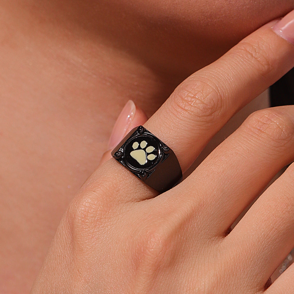 Gnoce Zag Heroez Miraculous - Cat Noir Glow-in-the-Dark Ring_6