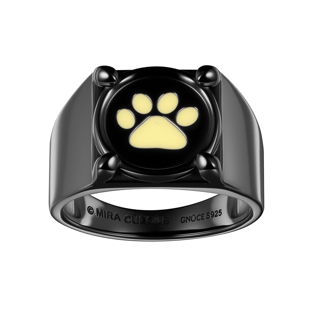 Gnoce Zag Heroez Miraculous - Cat Noir Glow-in-the-Dark Ring_1