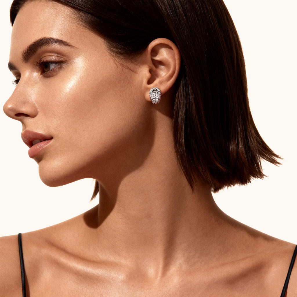 Gnoce Rainbow Isopod Insect Stud Earrings_2