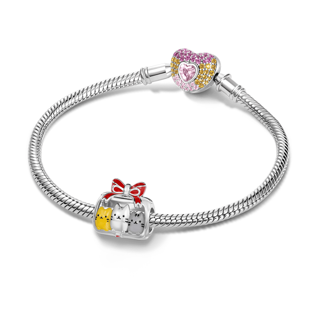 Gnoce Cute Cats Gift Box Charm_3