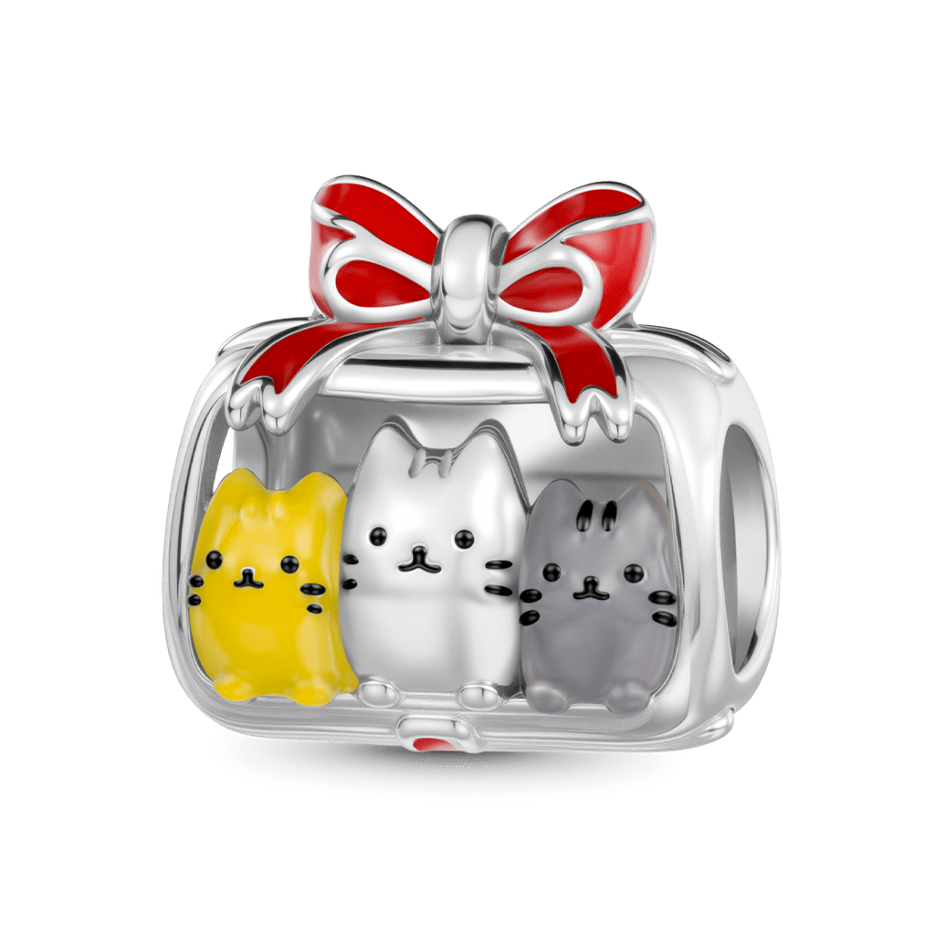 Gnoce Cute Cats Gift Box Charm_1