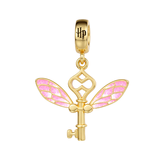 Gnoce Harry Potter Winged Key Pendant Dangle Charm_1