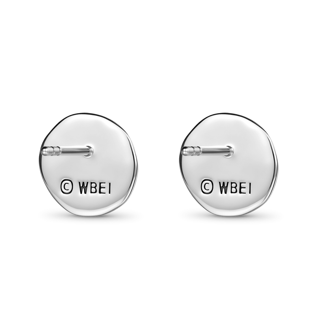 Gnoce Harry Potter Hagrid Birthday Cake Stud Earrings_5