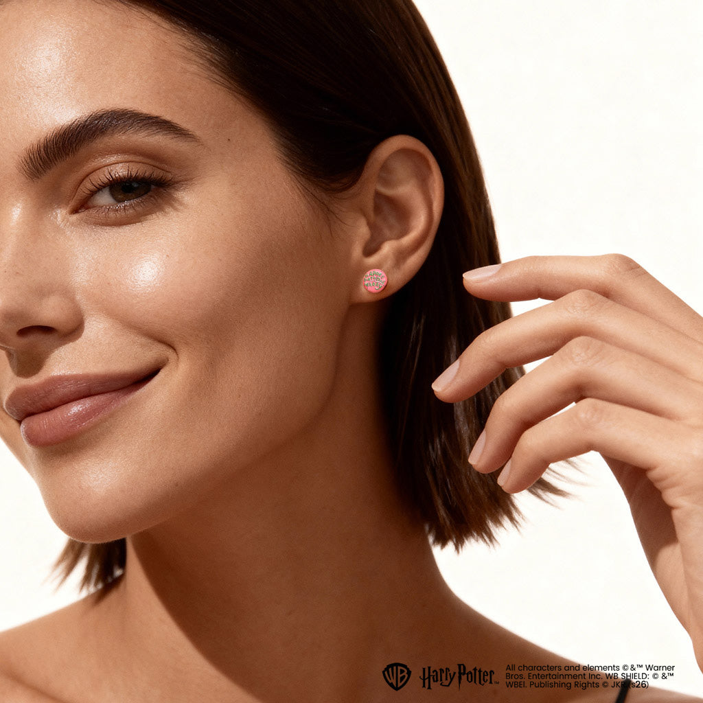 Gnoce Harry Potter Hagrid Birthday Cake Stud Earrings_4