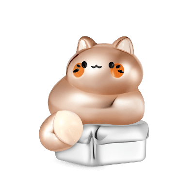 Mochi the Cat Box Charm